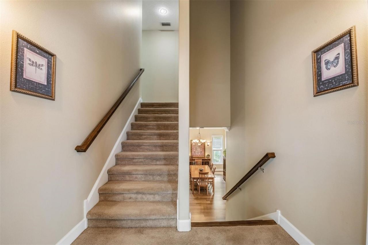 116 Carlyle Circle, Palm Harbor, FL 34683 Photo