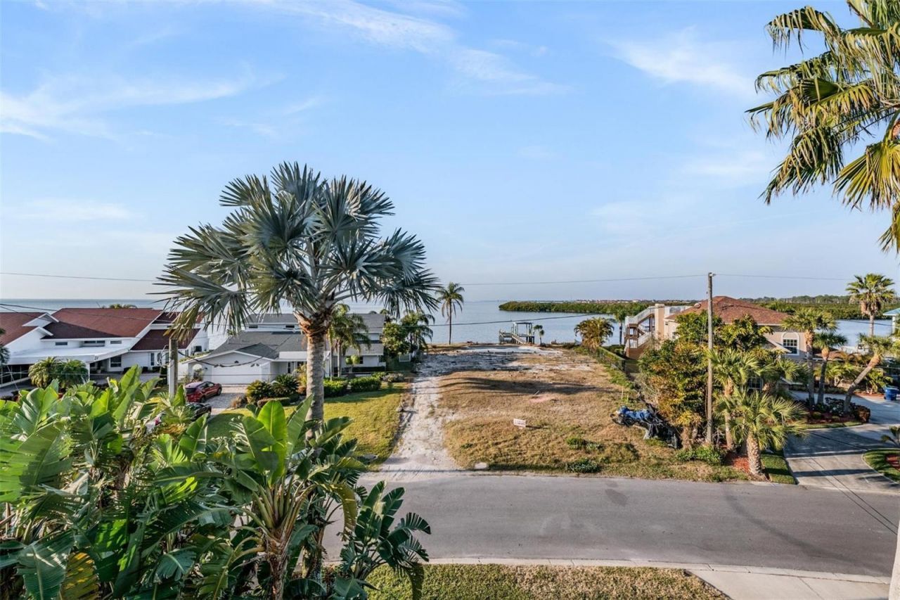 116 Carlyle Circle, Palm Harbor, FL 34683 Photo