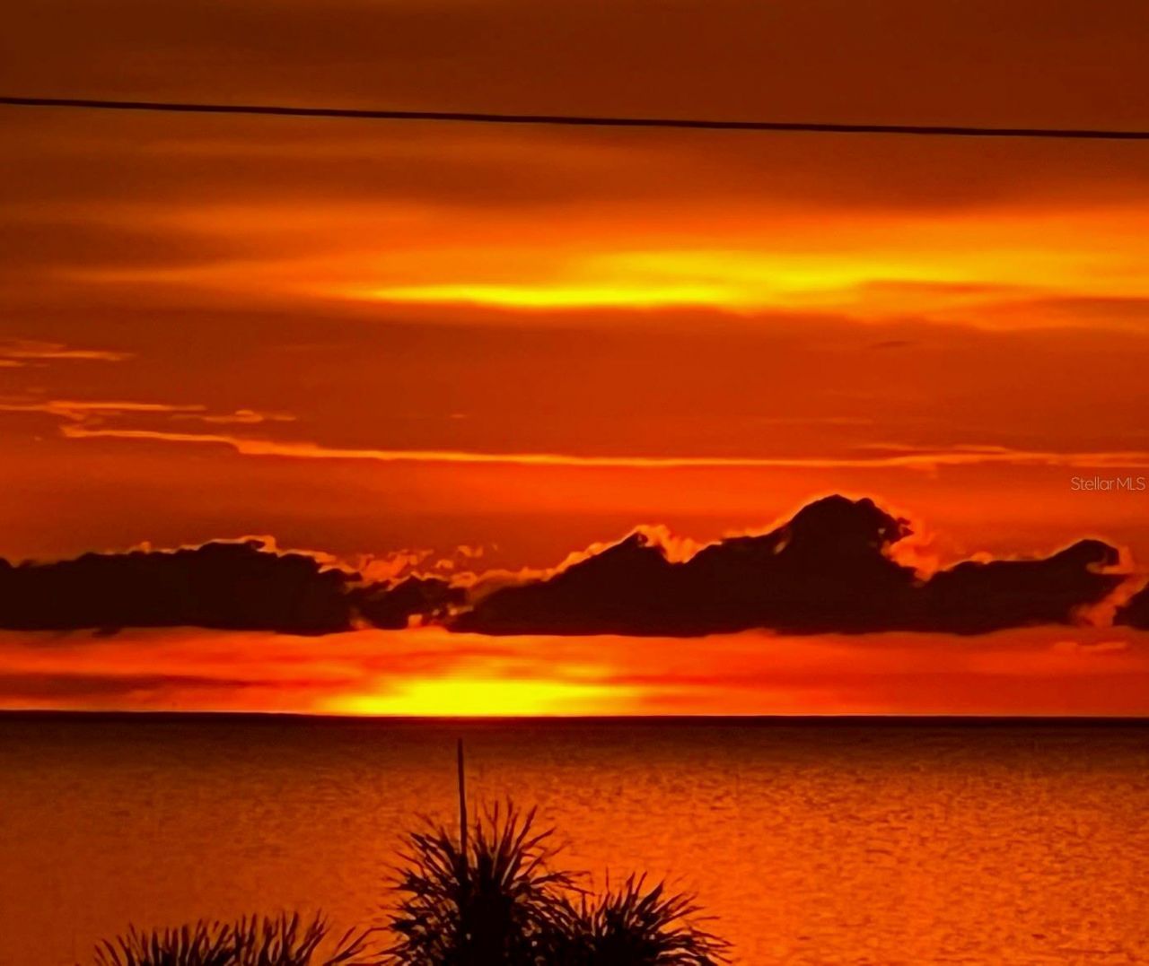 116 Carlyle Circle, Palm Harbor, FL 34683 Photo