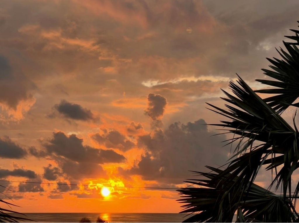 116 Carlyle Circle, Palm Harbor, FL 34683 Photo