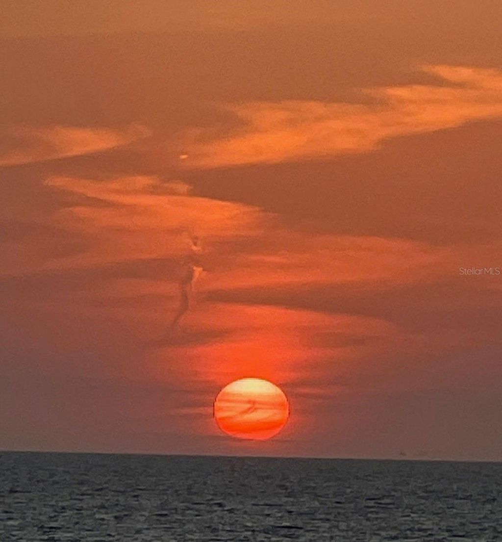 116 Carlyle Circle, Palm Harbor, FL 34683 Photo