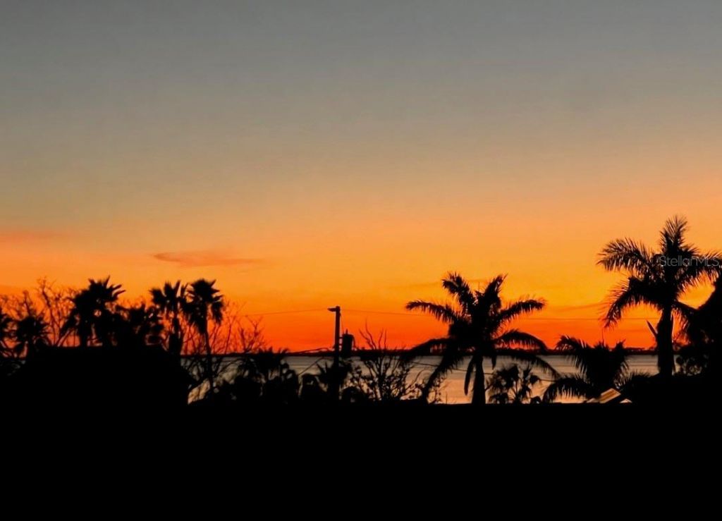 116 Carlyle Circle, Palm Harbor, FL 34683 Photo