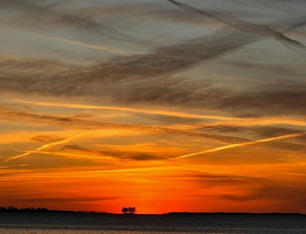 116 Carlyle Circle, Palm Harbor, FL 34683 Photo