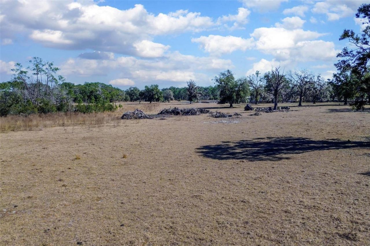 Carter Road, Deland, FL 32724 Photo