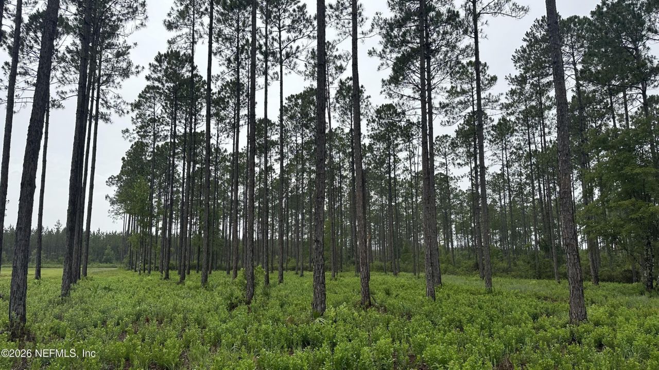 0 Us Highway 301, Bryceville, FL 32209 Photo