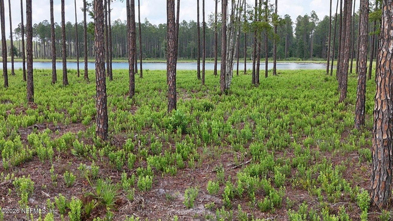 0 Us Highway 301, Bryceville, FL 32209 Photo