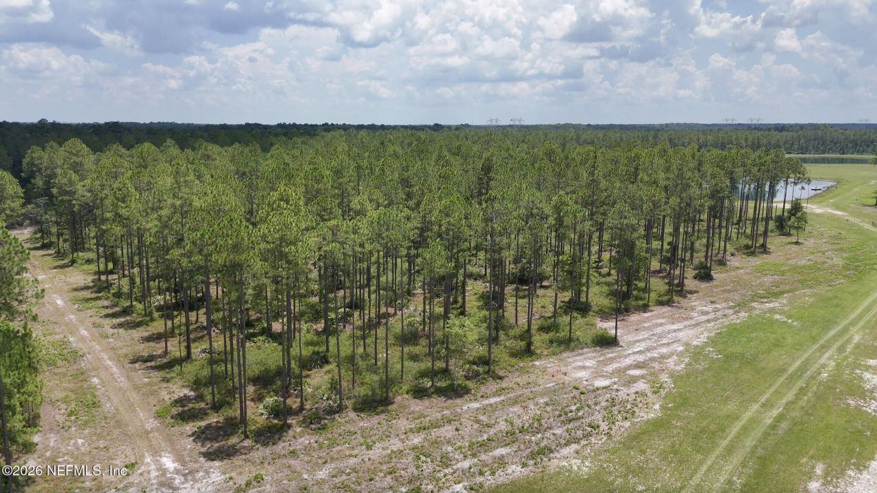 0 Us Highway 301, Bryceville, FL 32209 Photo