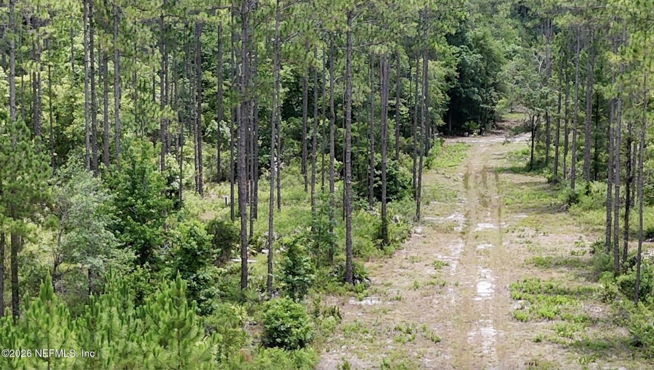 0 Us Highway 301, Bryceville, FL 32209 Photo