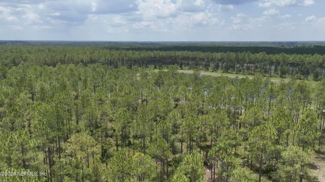 0 Us Highway 301, Bryceville, FL 32209 Photo