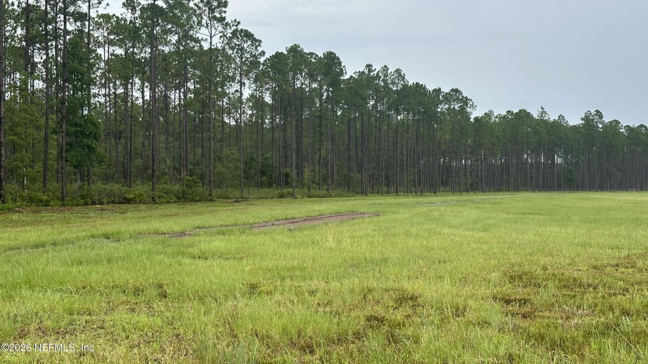 0 Us Highway 301, Bryceville, FL 32209 Photo