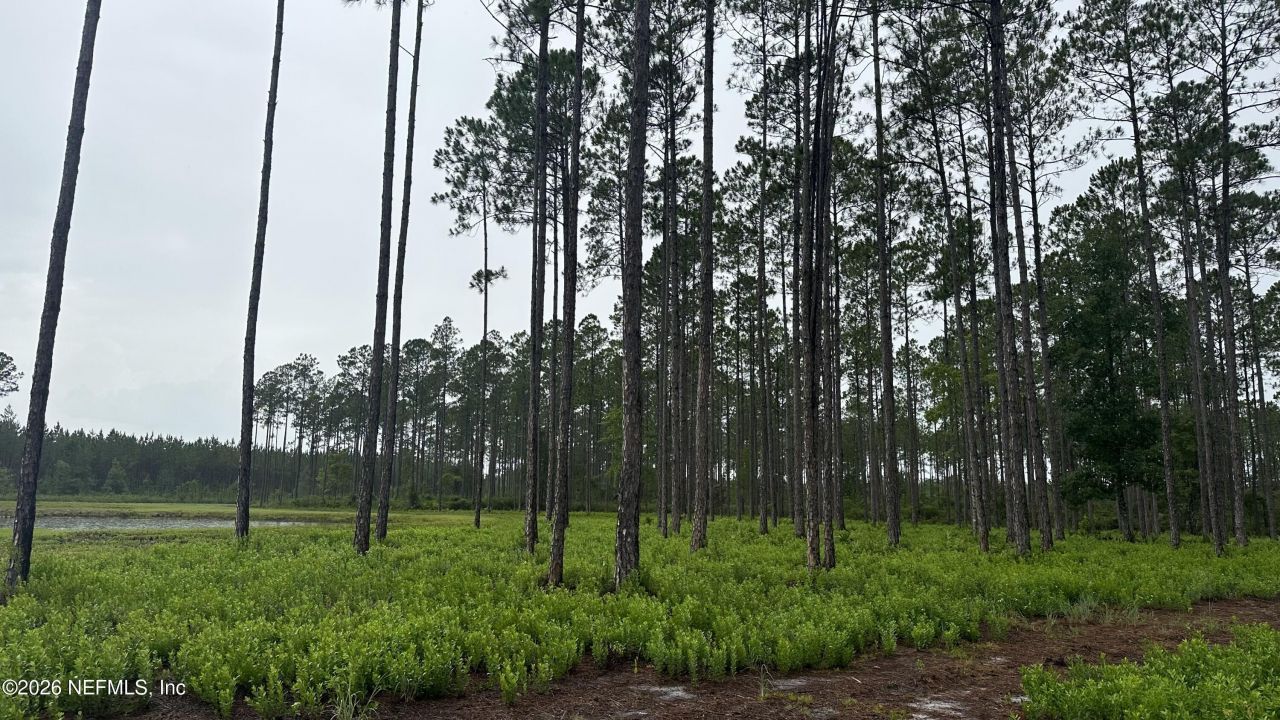 0 Us Highway 301, Bryceville, FL 32209 Photo