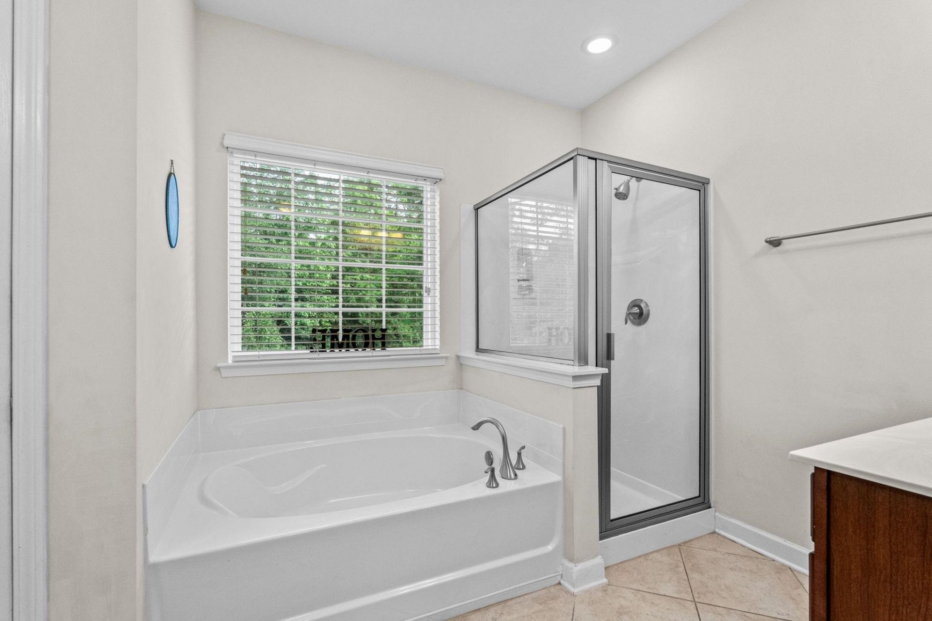 708 Walking Fern Ct. Photo 67