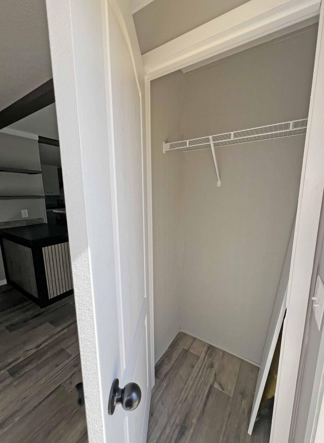 1446 Litzler Drive Photo 61