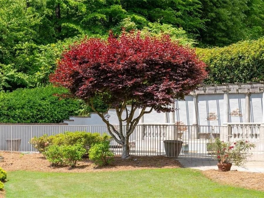 Property Image 74