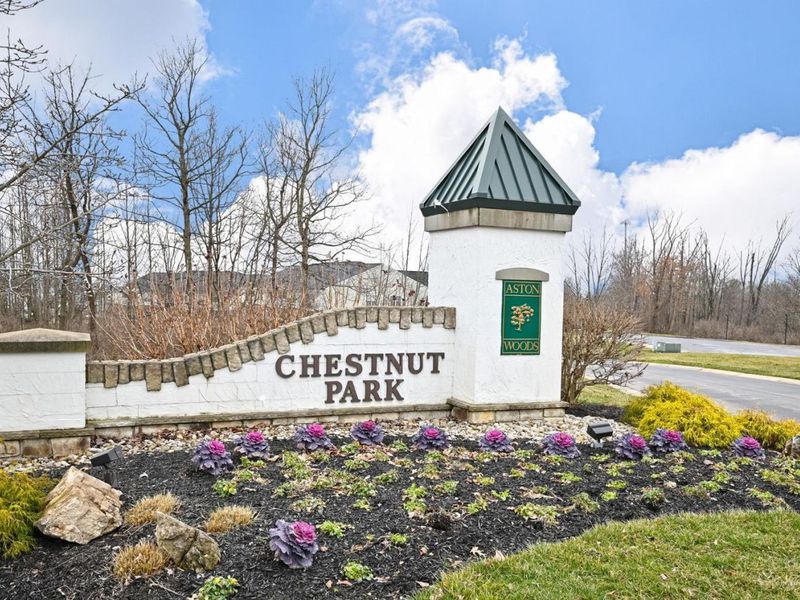 3564 Chestnut Park Lane, Miami Twp, OH 45002 Photo 29