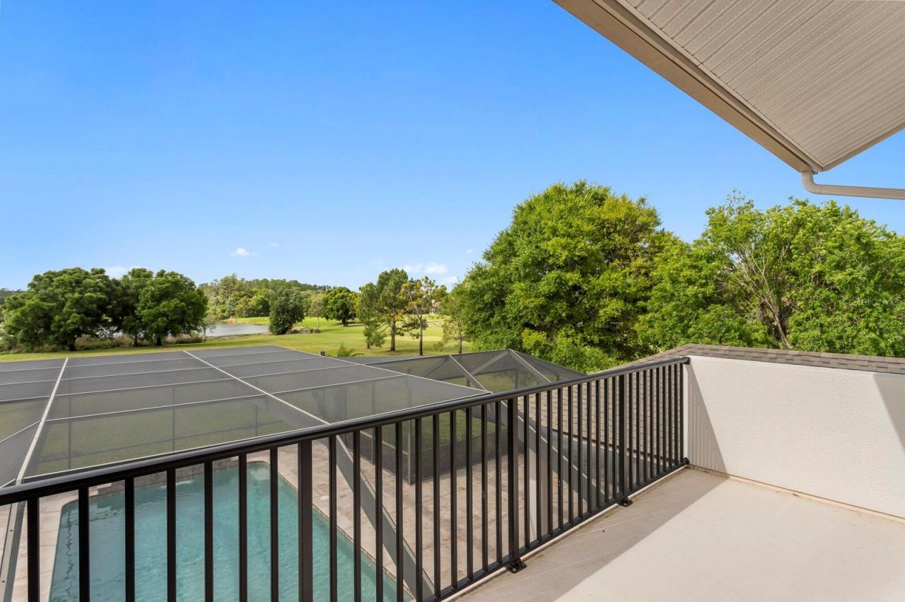 17253 Breeders Cup Drive, Odessa, FL 33556 Photo