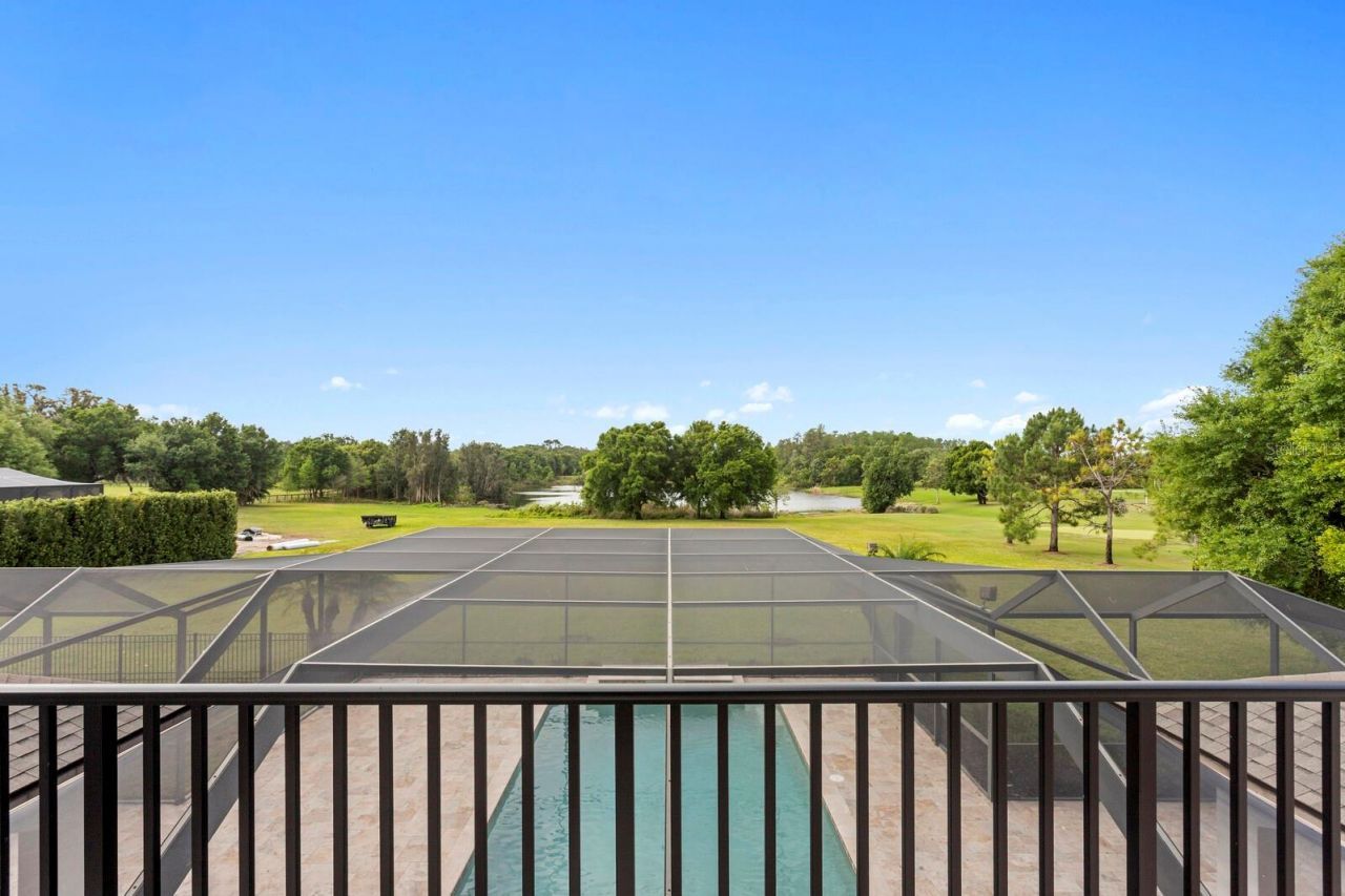 17253 Breeders Cup Drive, Odessa, FL 33556 Photo
