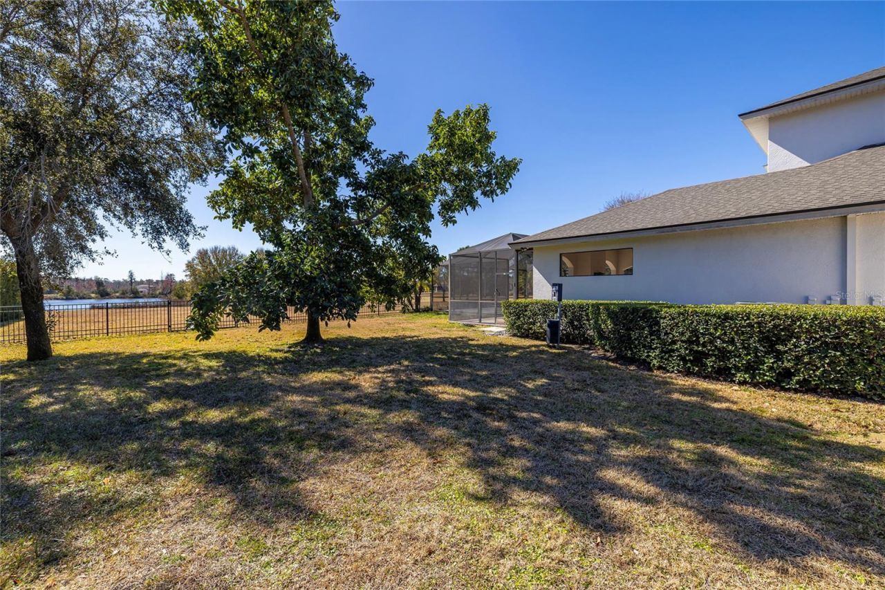 17253 Breeders Cup Drive, Odessa, FL 33556 Photo
