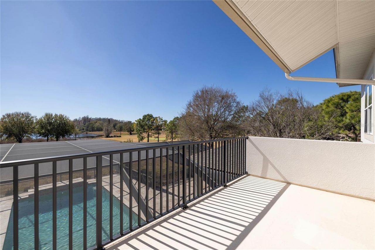 17253 Breeders Cup Drive, Odessa, FL 33556 Photo