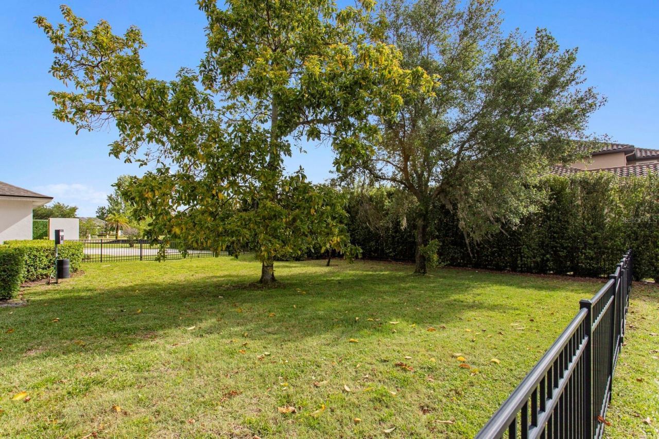 17253 Breeders Cup Drive, Odessa, FL 33556 Photo