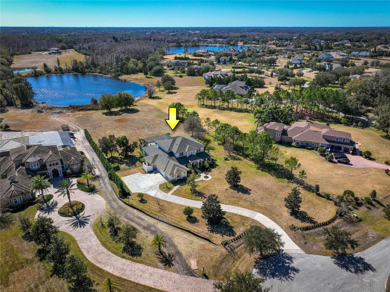 17253 Breeders Cup Drive, Odessa, FL 33556 Photo
