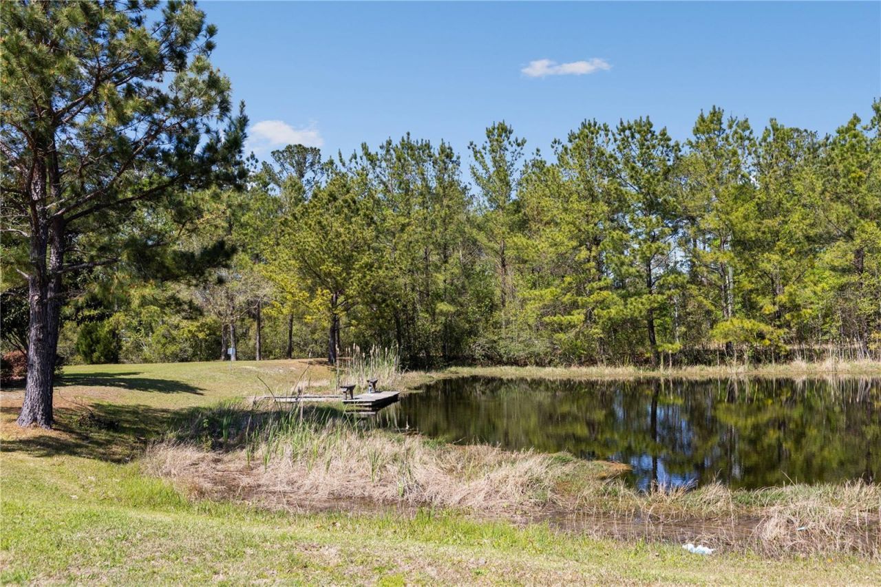 461 SW Bellflower Drive, Lake City, FL 32024 Photo