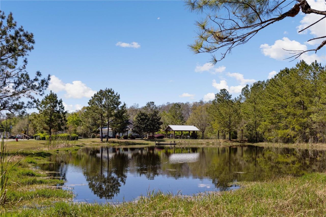461 SW Bellflower Drive, Lake City, FL 32024 Photo