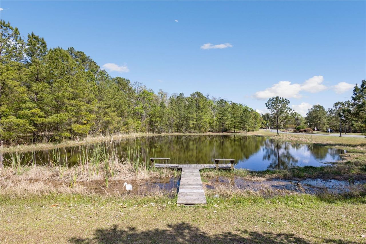 461 SW Bellflower Drive, Lake City, FL 32024 Photo