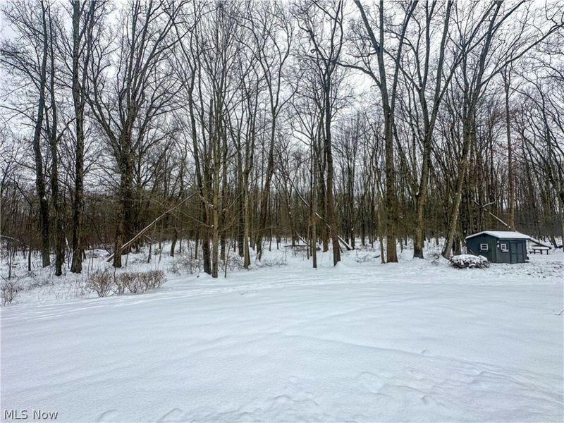 5516 Benton Lane, Brookfield, OH 44403 Photo 47