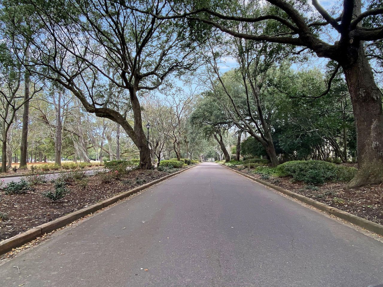 1100 Poplar Tree Drive Photo 48