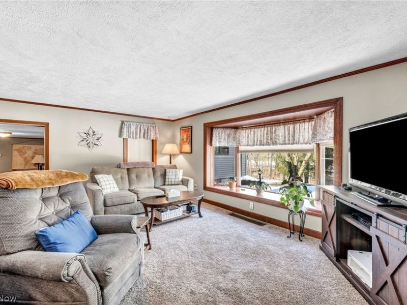 11259 Robson Road, Grafton, OH 44044 Photo 15