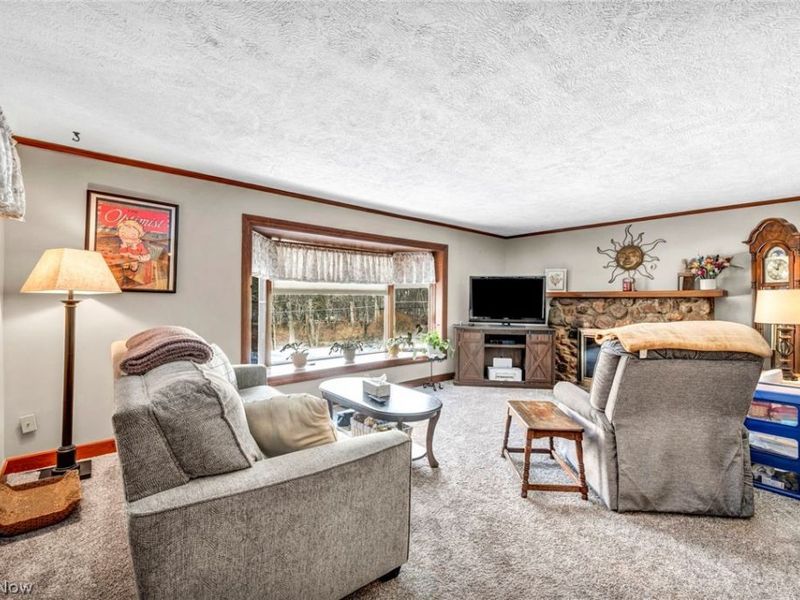 11259 Robson Road, Grafton, OH 44044 Photo 16