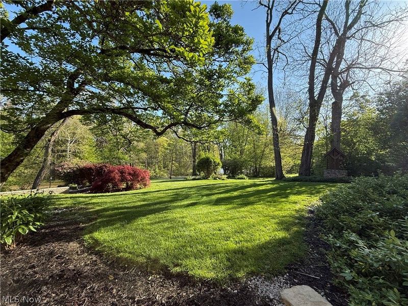 11259 Robson Road, Grafton, OH 44044 Photo 2