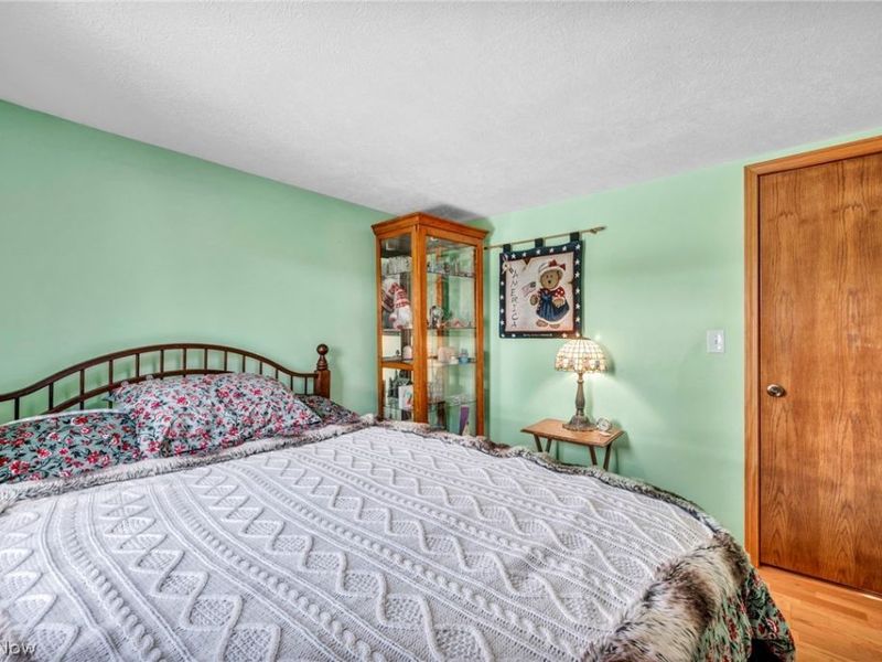 11259 Robson Road, Grafton, OH 44044 Photo 38