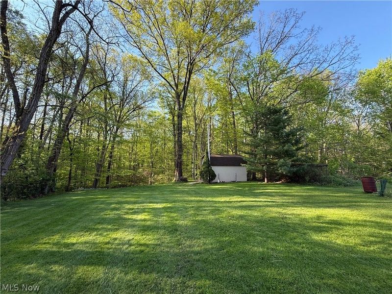 11259 Robson Road, Grafton, OH 44044 Photo 45