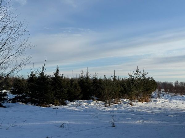 TBD Scotch Pine Road, Finlayson, MN 55735