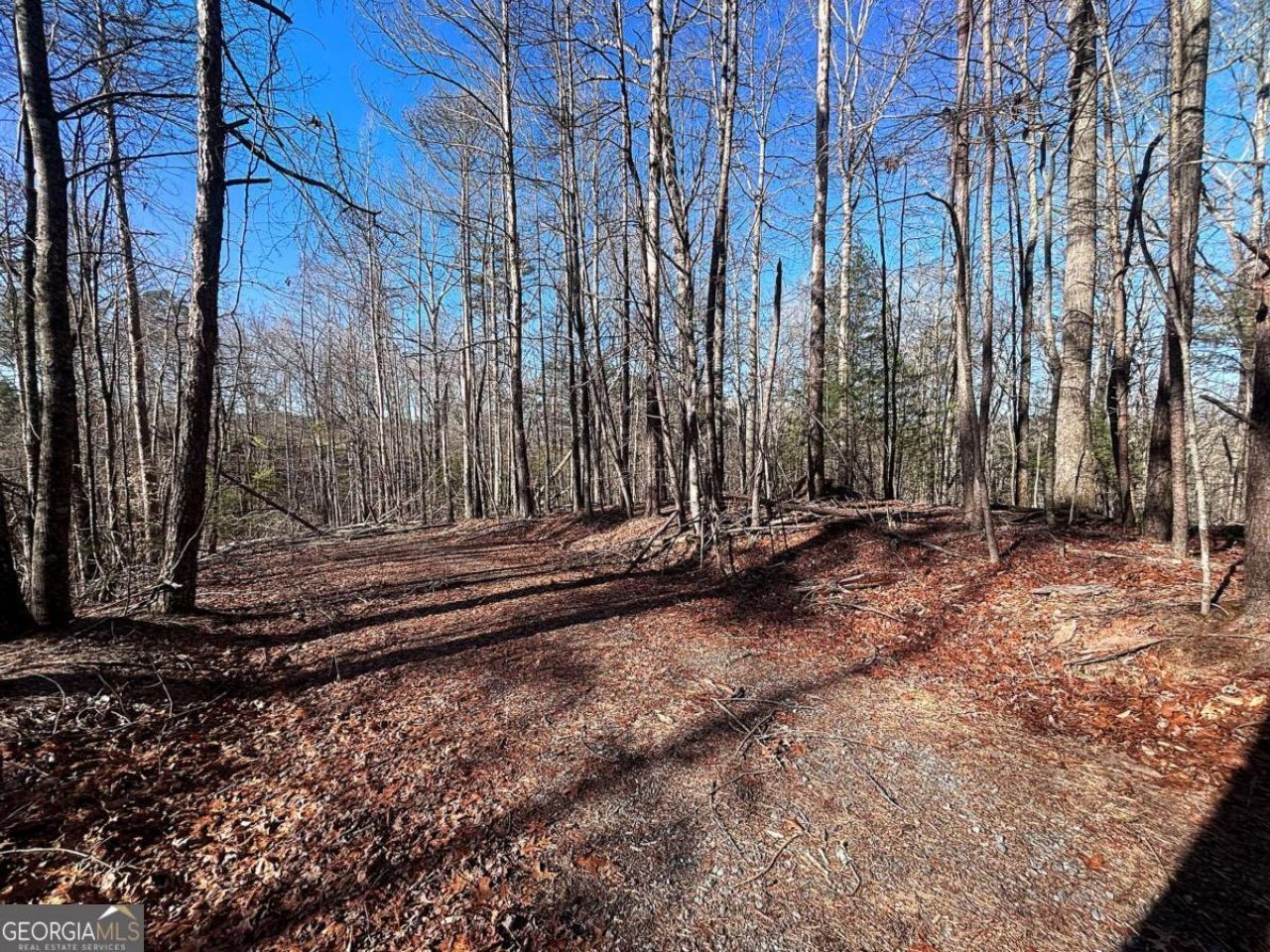 0 Miramar Drive, Ellijay, GA 30540 Main Photo