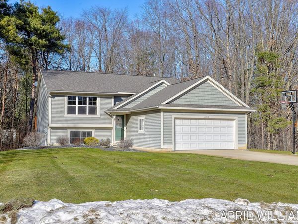 6919 Pinestead Court, Allendale, MI 49401