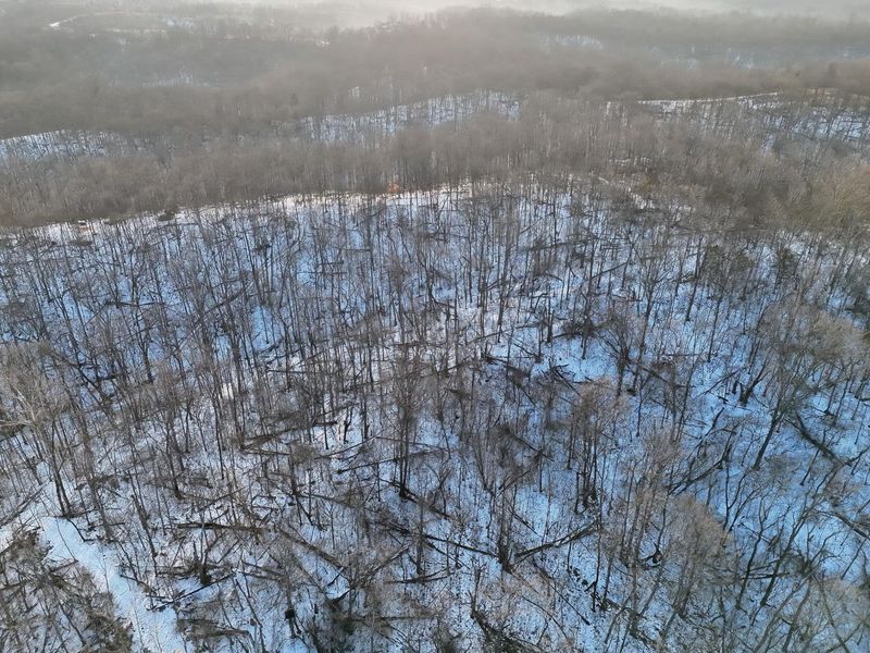 9268 State Route 41, Aberdeen, OH 45101 Photo 39