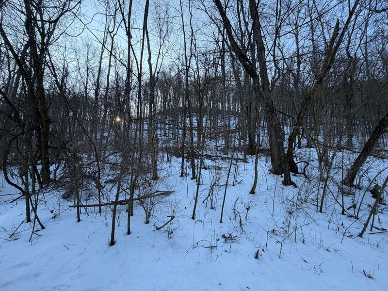 9268 State Route 41, Aberdeen, OH 45101 Photo 45