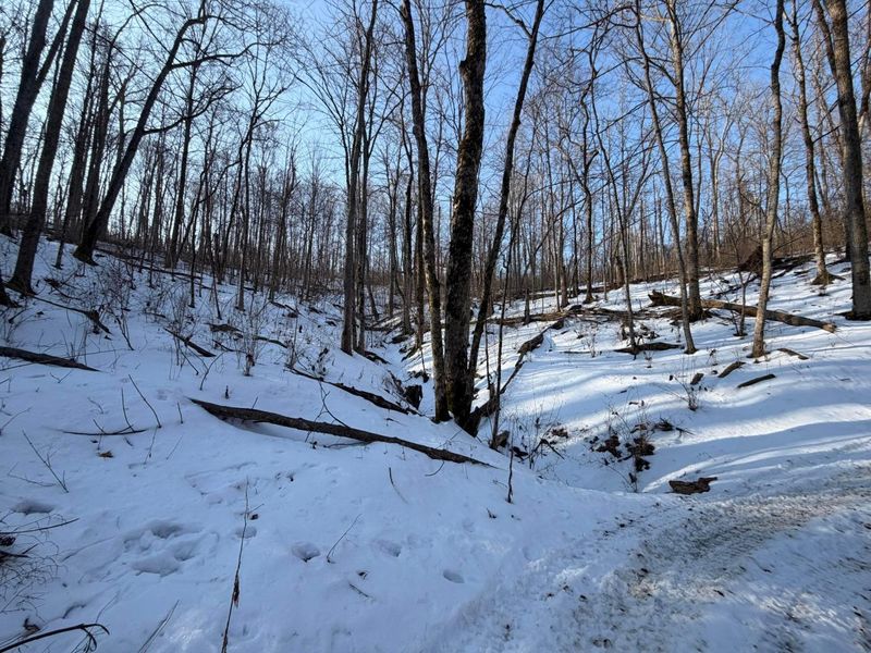 9268 State Route 41, Aberdeen, OH 45101 Photo 46