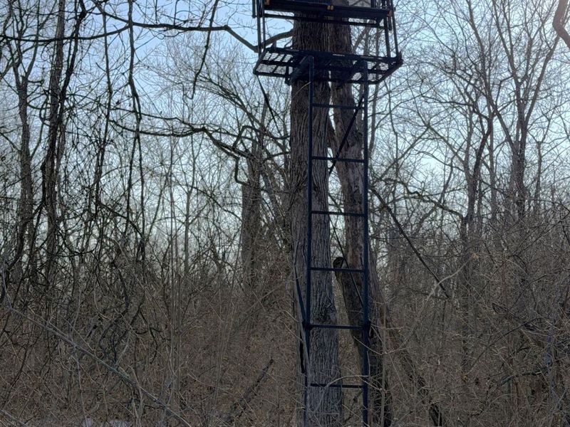 9268 State Route 41, Aberdeen, OH 45101 Photo 49