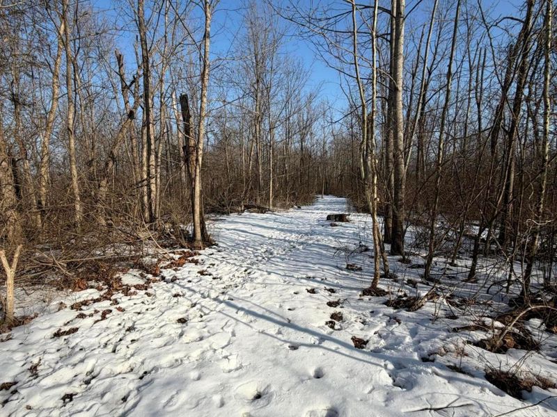 9268 State Route 41, Aberdeen, OH 45101 Photo 51