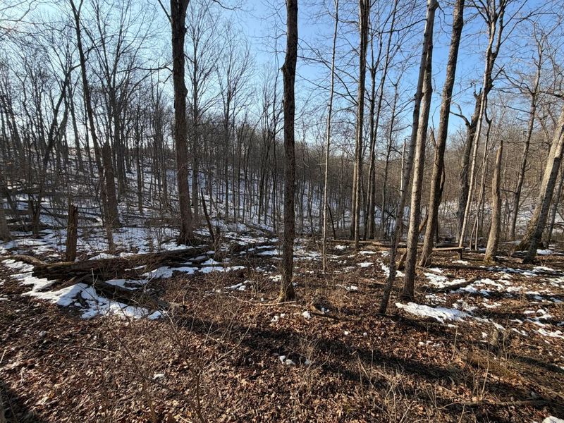 9268 State Route 41, Aberdeen, OH 45101 Photo 57