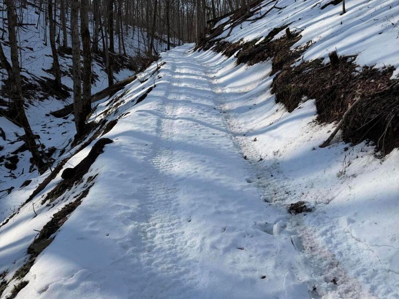 9268 State Route 41, Aberdeen, OH 45101 Photo 59