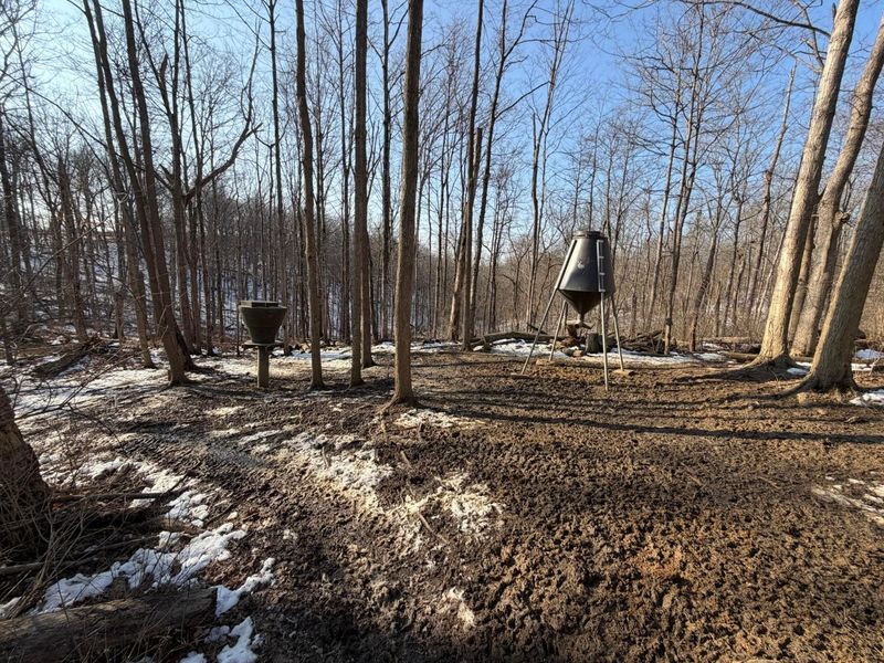 9268 State Route 41, Aberdeen, OH 45101 Photo 60