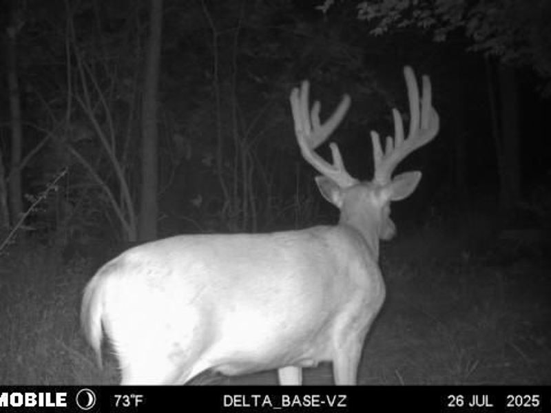 9268 State Route 41, Aberdeen, OH 45101 Photo 68