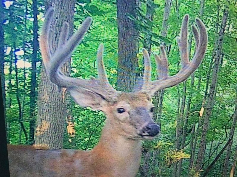 9268 State Route 41, Aberdeen, OH 45101 Photo 69