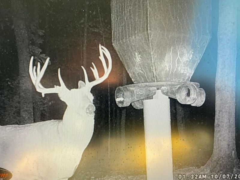 9268 State Route 41, Aberdeen, OH 45101 Photo 70