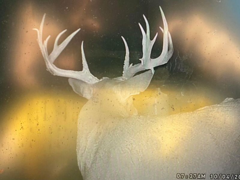 9268 State Route 41, Aberdeen, OH 45101 Photo 71